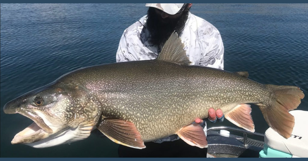 Game and Fish Set Meetings About Changes to Flaming Gorge Fishing Regulations