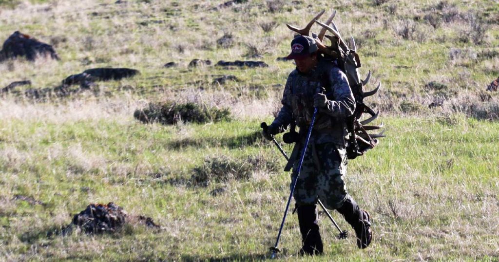 New Shed Antler Collection Rules Take Effect May 1