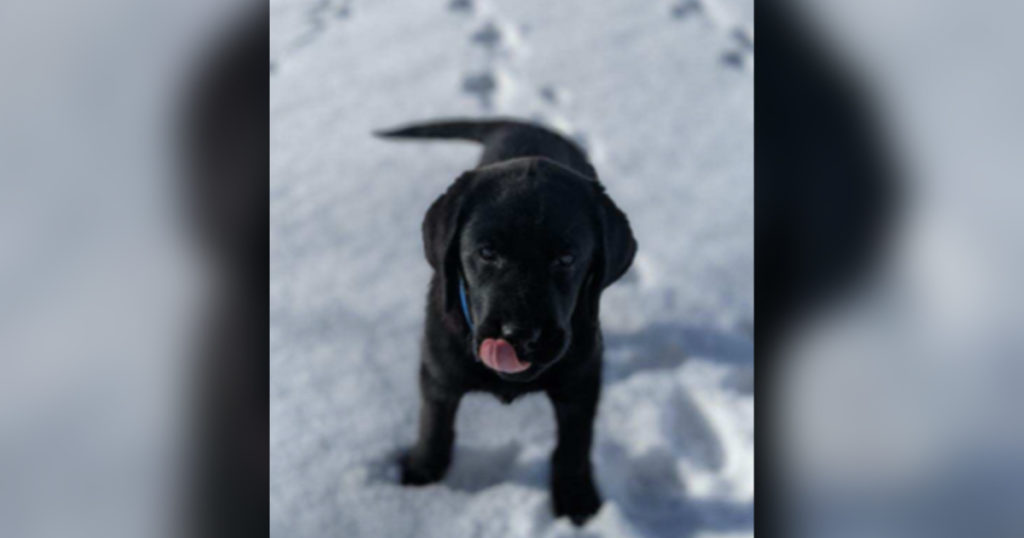 Green River Police Department Has A New Buddy to Lean On
