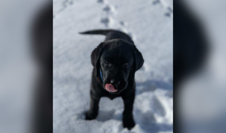 Green River Police Department Has A New Buddy to Lean On