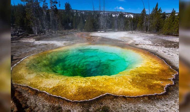 Yellowstone National Park Sees Decrease in Visitation Numbers over Memorial Day Weekend