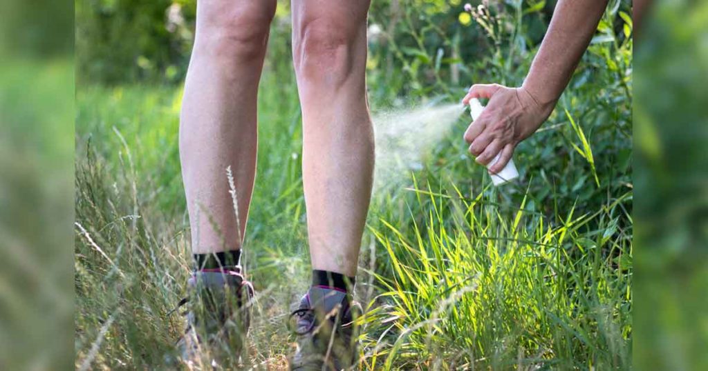 Wyomingites Receive Tips on How to Avoid Summer Diseases Spread by Insects