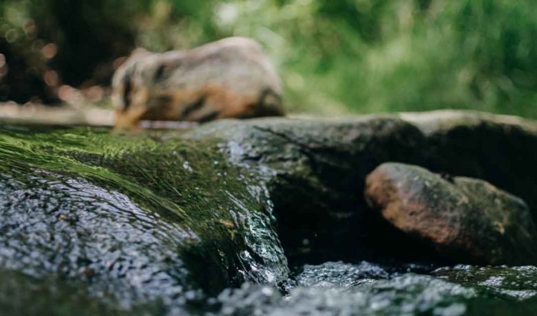 Sublette County Officials Warn Residents of Potential Water Dangers