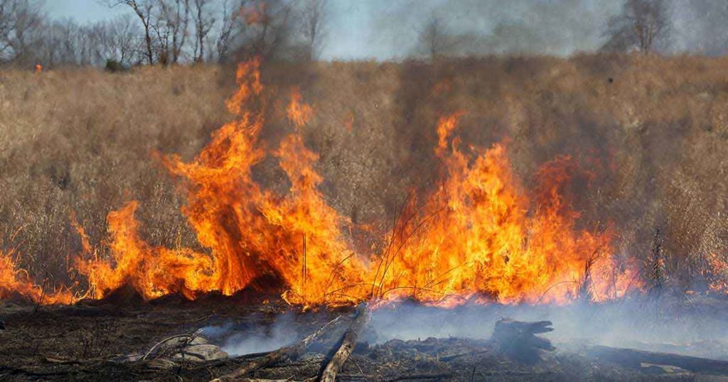Wyomingites Given Tips on How to Help Prevent Wildfires