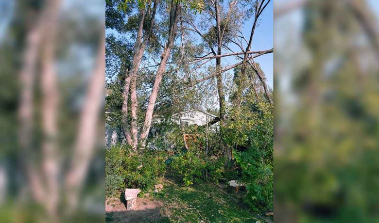 2021 Green River Pond and Garden Tour Canceled