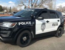 RSPD Seeks Help With Auto Theft Investigation