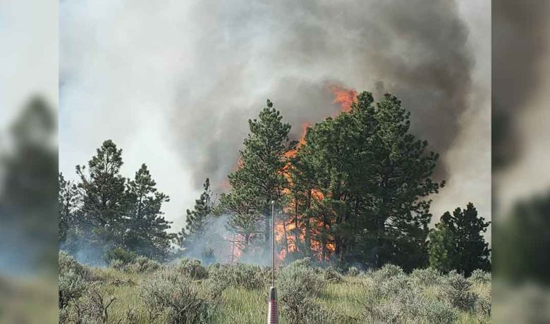 PHOTOS: Pre-Evacuation Orders Given as NE Wyoming ‘Skull Creek Fire’ Grows