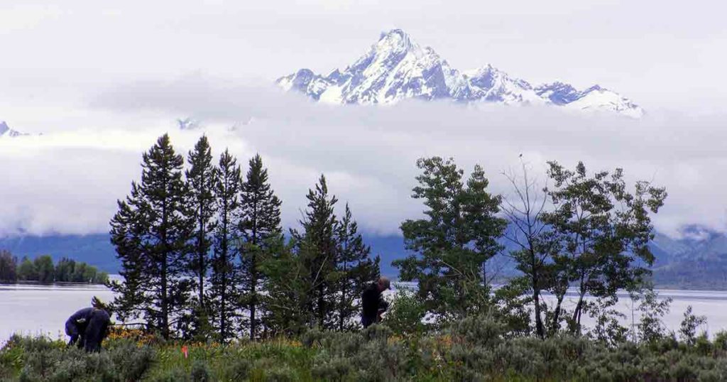 UW Professor Contributes to Study on How Animals Adapt to Climate Change