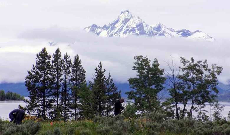 UW Professor Contributes to Study on How Animals Adapt to Climate Change