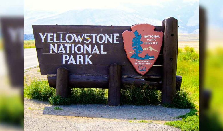 Another Visitation Record Broken at Yellowstone National Park