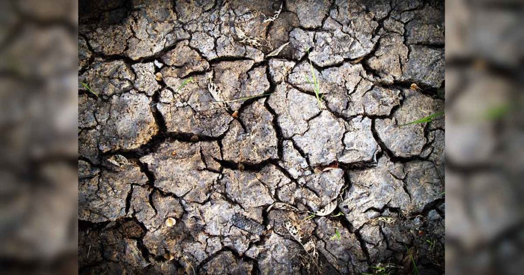 New Wyoming Drought Resources Website Lauched