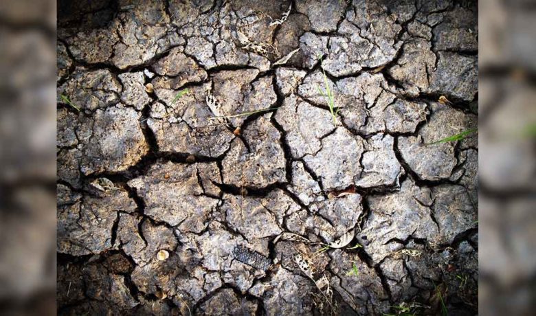 New Wyoming Drought Resources Website Lauched