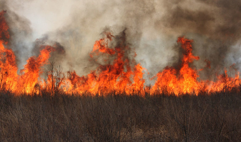 Sweetwater County Fire Warden Warns of Long and Dry Fire Season