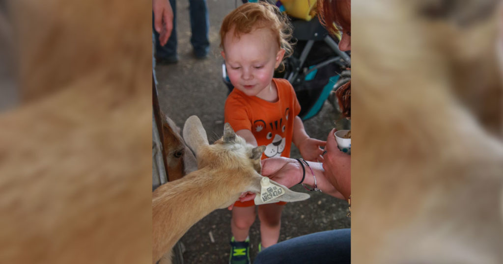 Petting Zoo Always a Family Favorite at Wyoming’s Big Show