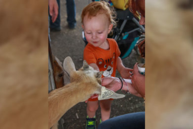 Petting Zoo Always a Family Favorite at Wyoming’s Big Show
