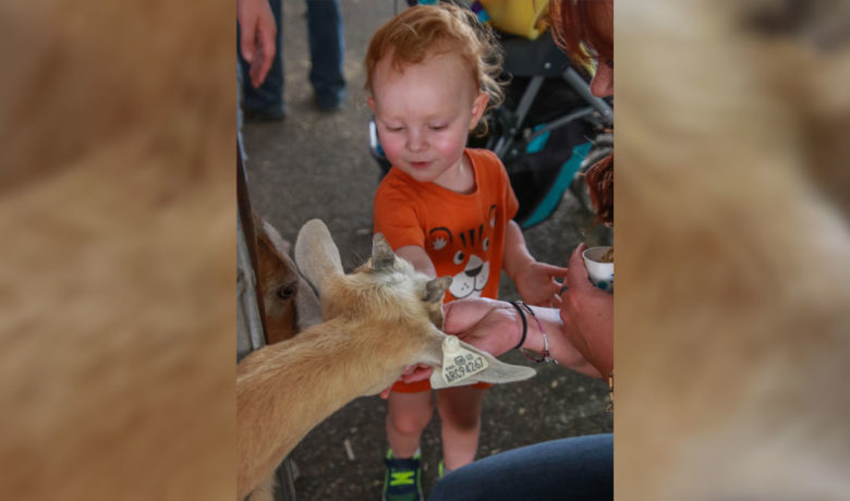 Petting Zoo Always a Family Favorite at Wyoming’s Big Show