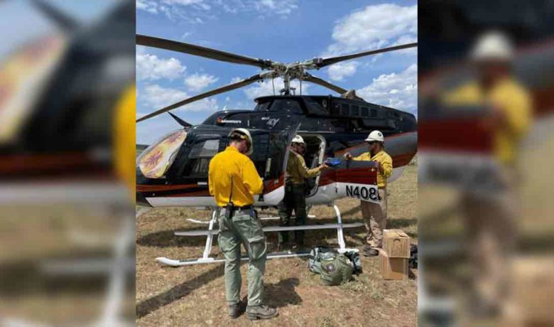 Fire Crews Make Progress on Shale Creek Fire