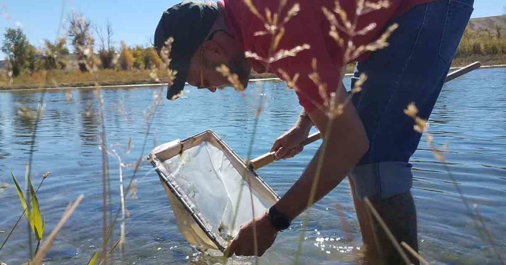 Wyoming Game and Fish Fight Back against Invasive Aquatic Species