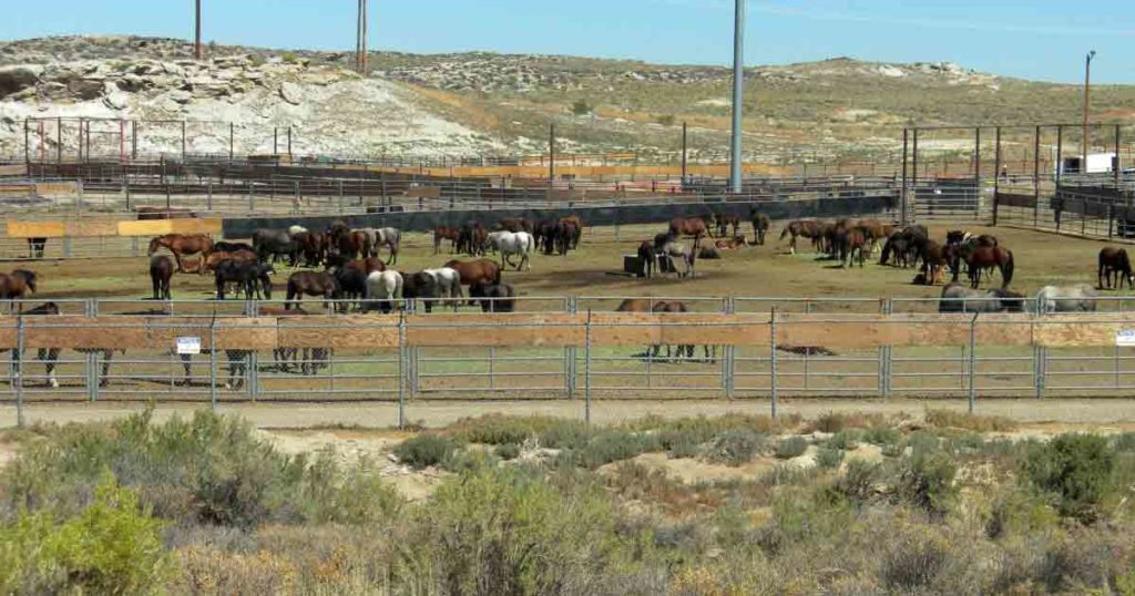 BLM Temporarily Closes RS Holding Facility