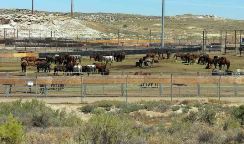 BLM Temporarily Closes RS Holding Facility