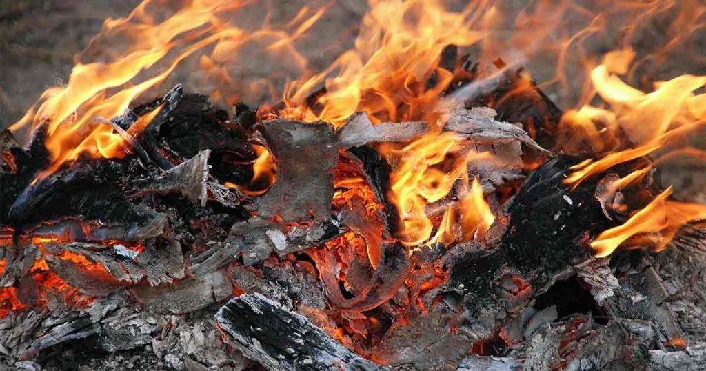 Slash Pile Burning to Occur in Bridger-Teton National Forest