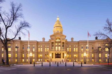 Kolb Amendment to Interference with Peace Officer Law Survives Introduction