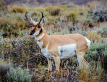 Conservation District Seeks Property Tax Support in November