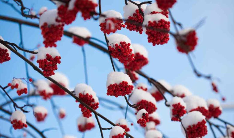 Special Weather Statement Issued for Sweetwater County