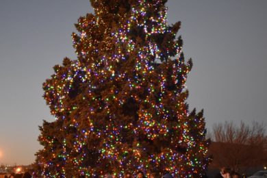 Rock Springs Mayor Tree Lighting