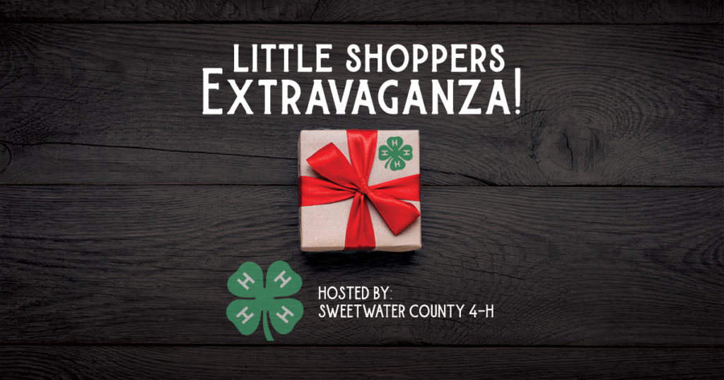 Sweetwater County 4H to Host Little Shoppers Extravaganza