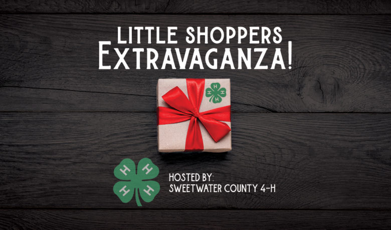 Sweetwater County 4H to Host Little Shoppers Extravaganza
