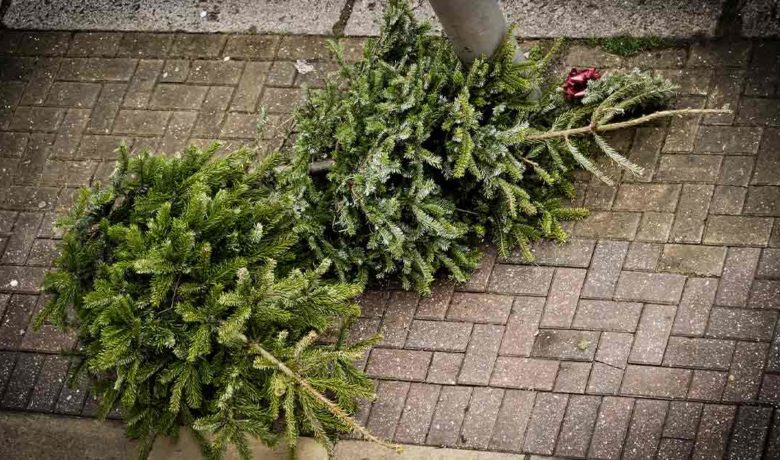 Rock Springs Offers Free Christmas Tree Recycling