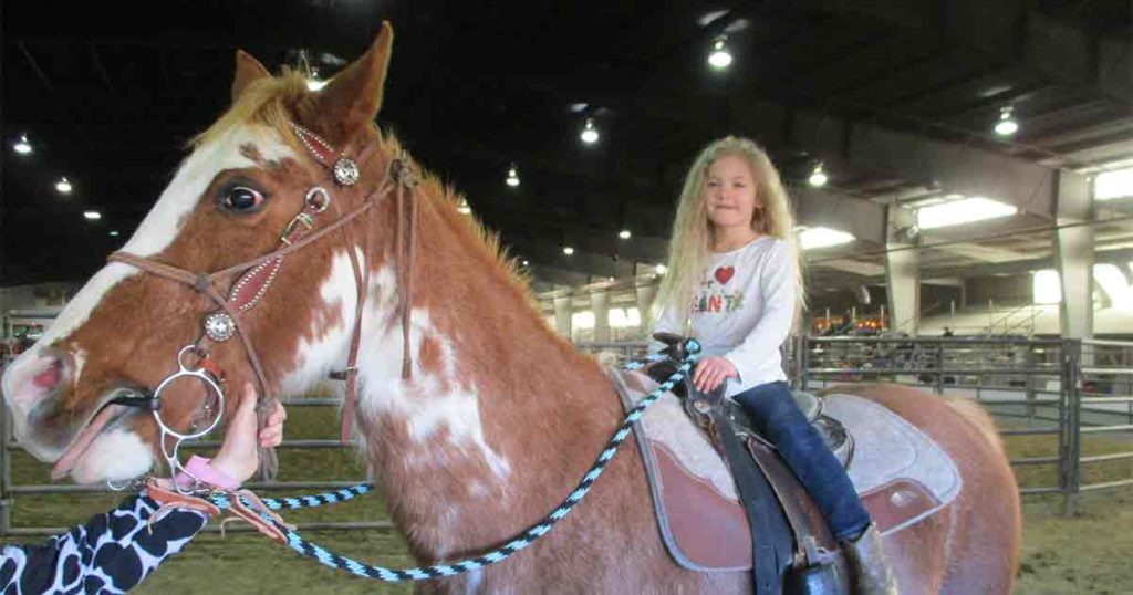 Gymkhana Rodeo Riders Give Lights Out Performances