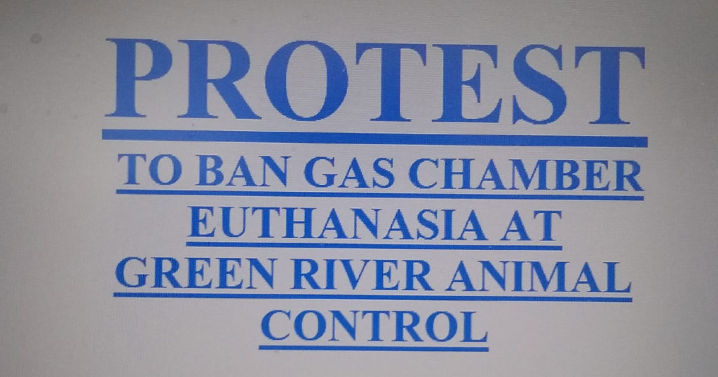 Green River City Council Discusses Future of Gas Chamber Following Protest
