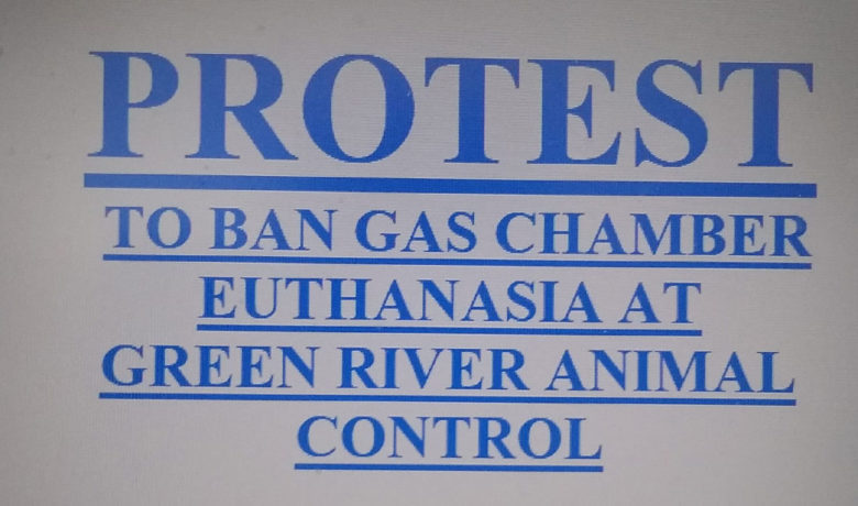 Green River City Council Discusses Future of Gas Chamber Following Protest