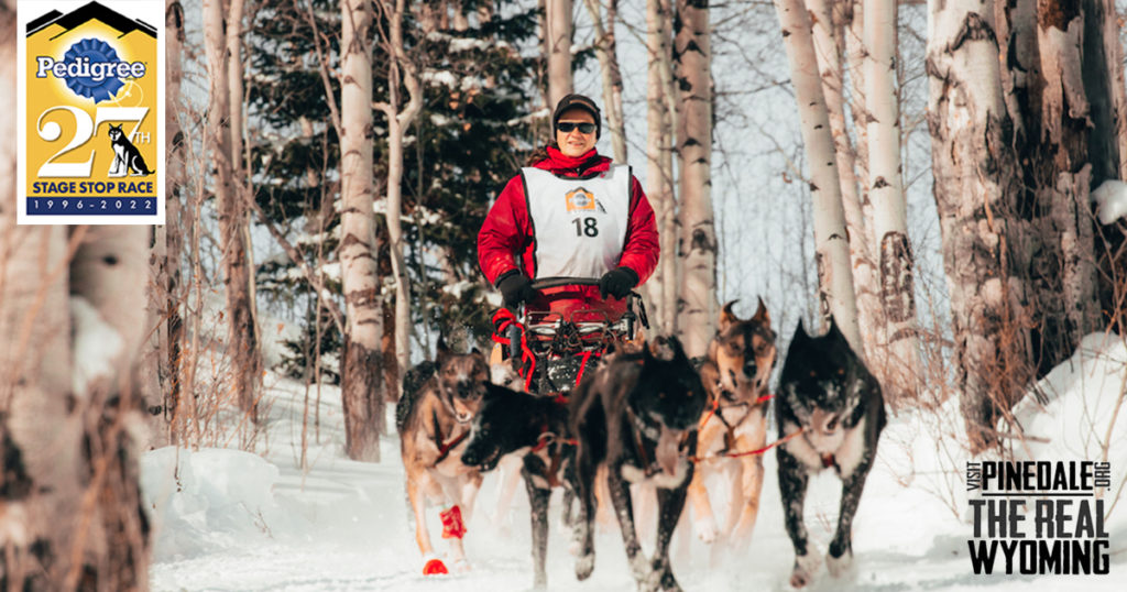 Your Chance to See a Dog Sled Race is Coming to Pinedale!