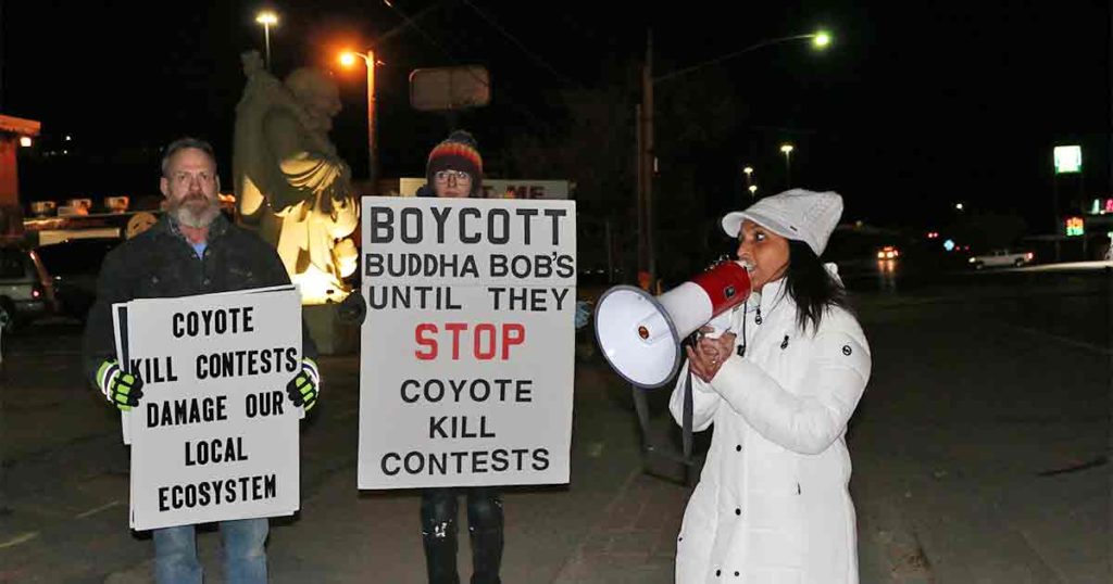 Protestors Want Wyoming Coyote Killing Contests Banned