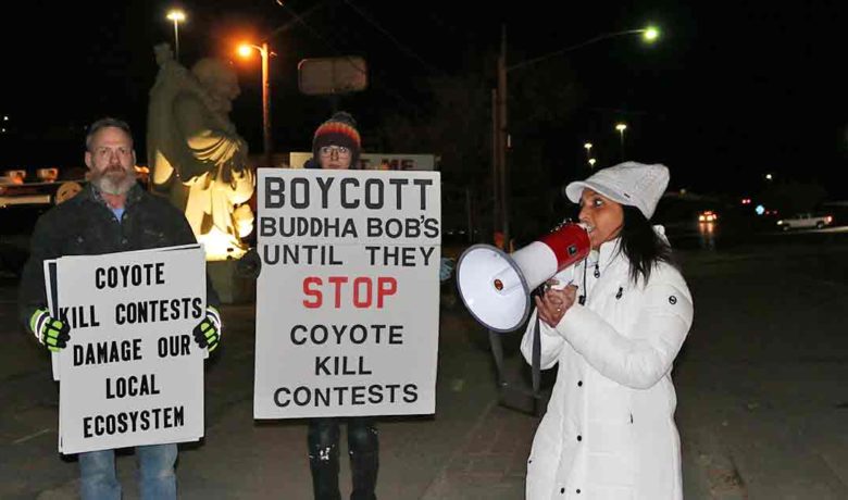 Protestors Want Wyoming Coyote Killing Contests Banned