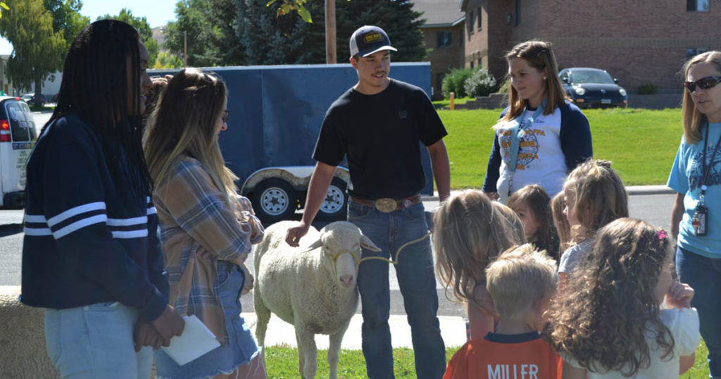 FFA Director Shares Details of Land Swap with SCSD No. 2 School Board