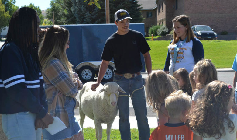 FFA Director Shares Details of Land Swap with SCSD No. 2 School Board