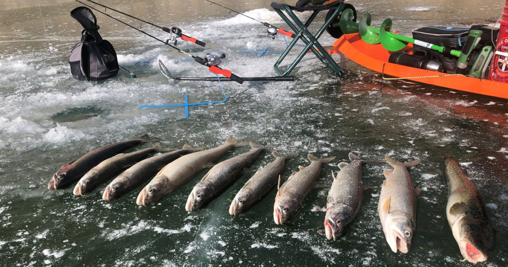 Fishing Derbies Aim to Reduce Small Lake Trout on Flaming Gorge