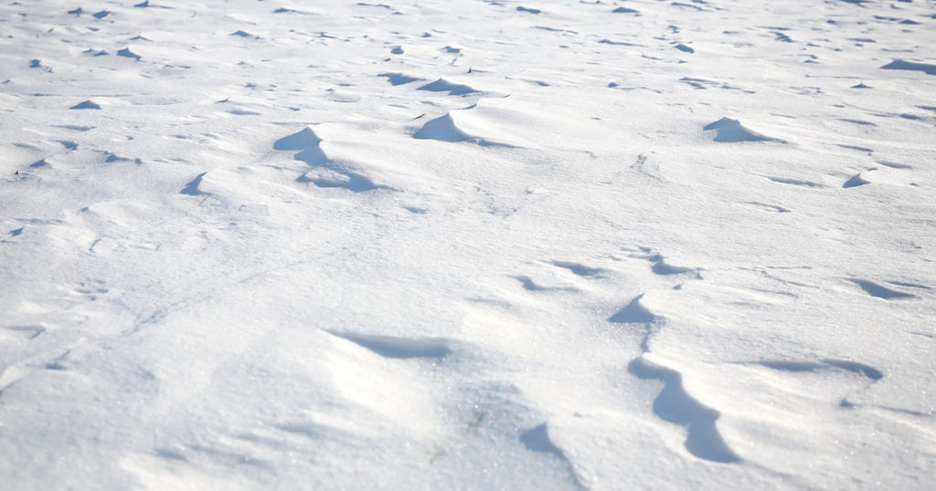 Wyoming’s Current Snowpack Below This Time Last Year