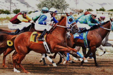 RS Councilor Concerned about Off-Track Horse Betting Expansion