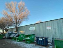Free Trees Offered at Recycling Center Saturday