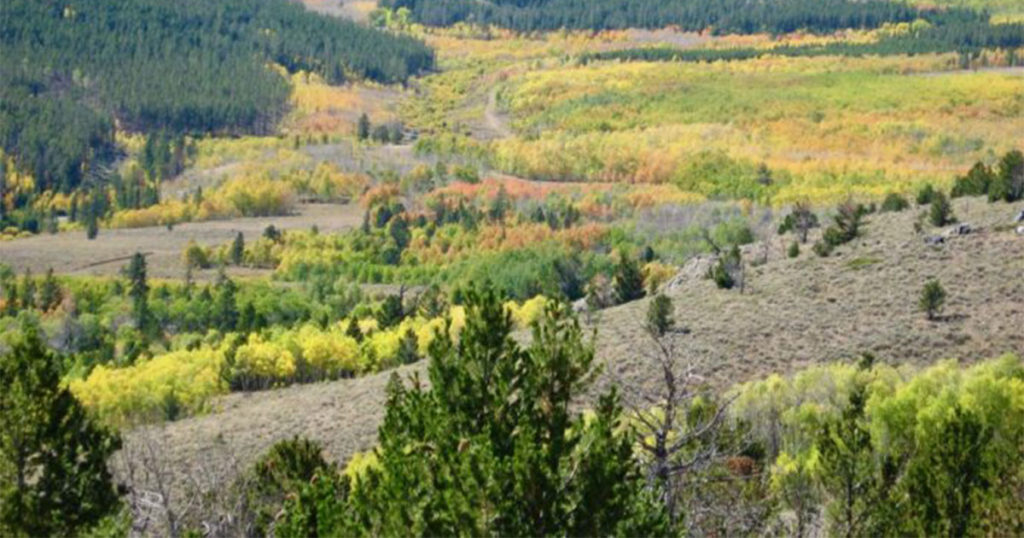 Legislature Helps Fund Aspen Restoration on South Pass