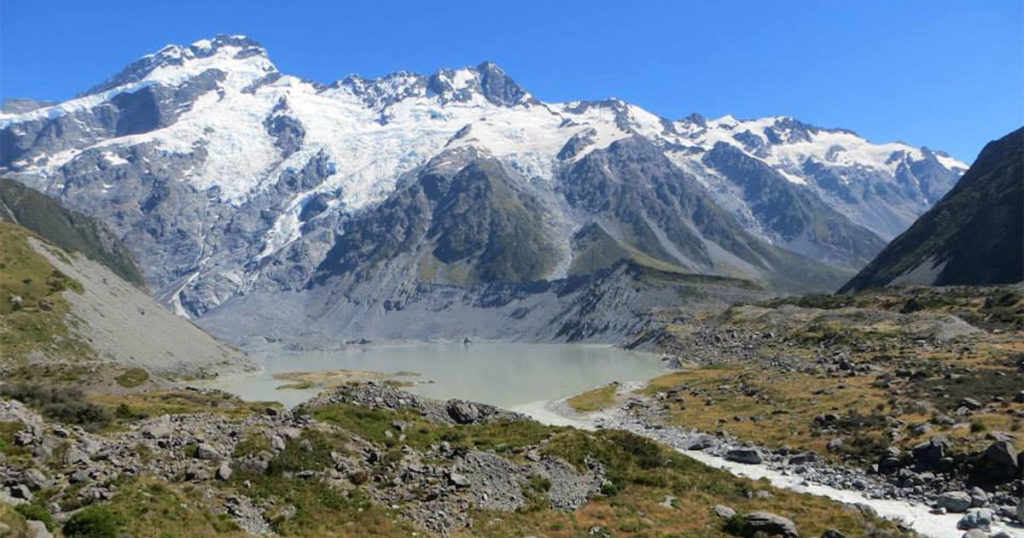 UW’s Global Vegetation Project Develops Online Educational Materials