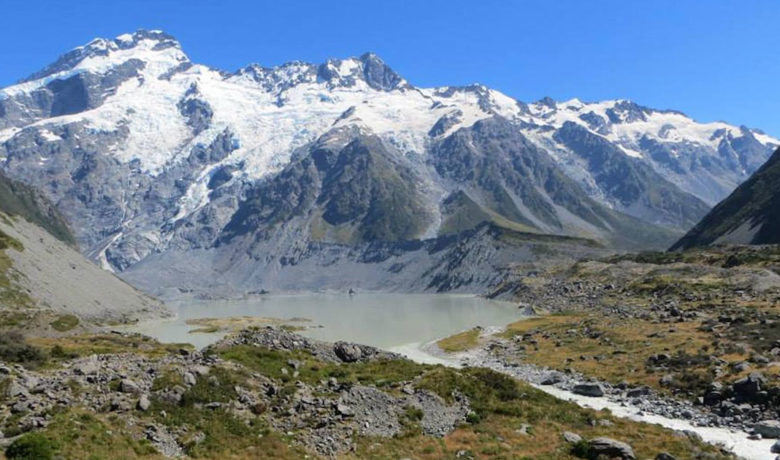 UW’s Global Vegetation Project Develops Online Educational Materials