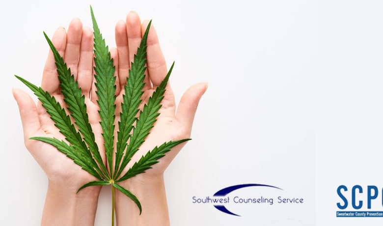 Planting Seeds: Important Differences in the Cannabis Plant Between Marijuana, Hemp, CBD, and THC