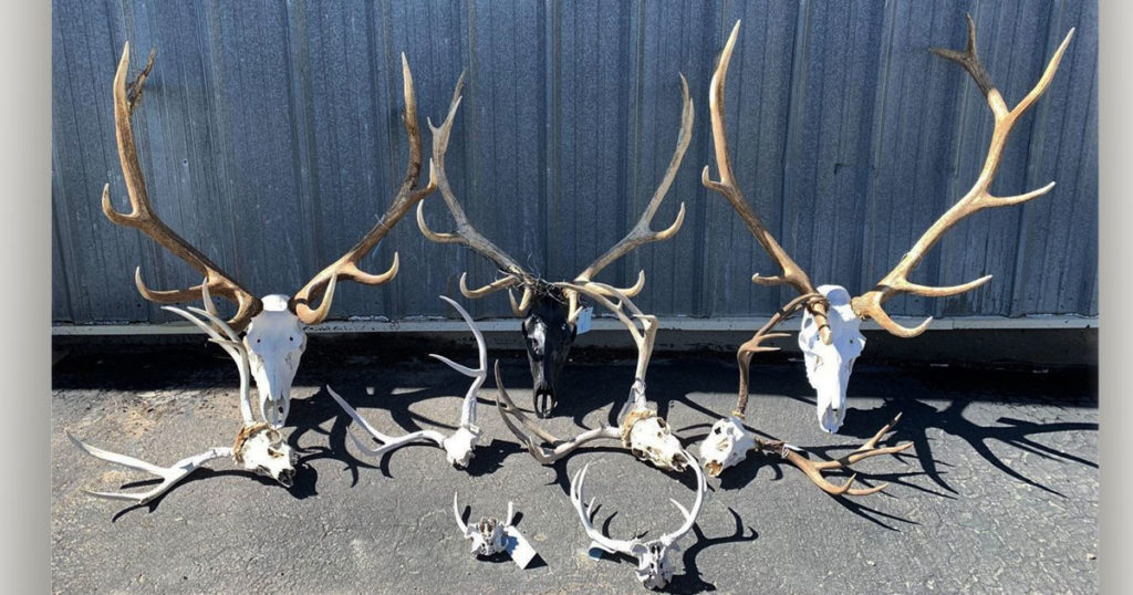 Two Sweetwater Men Convicted on Multiple Poaching Violations