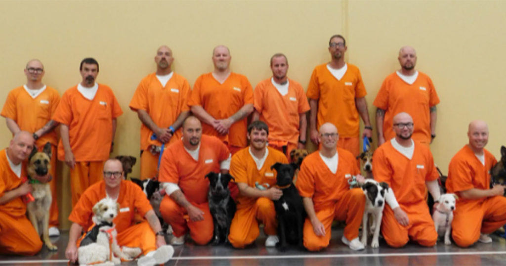 Wyoming Medium Correctional Institution Expands K9 Training Program